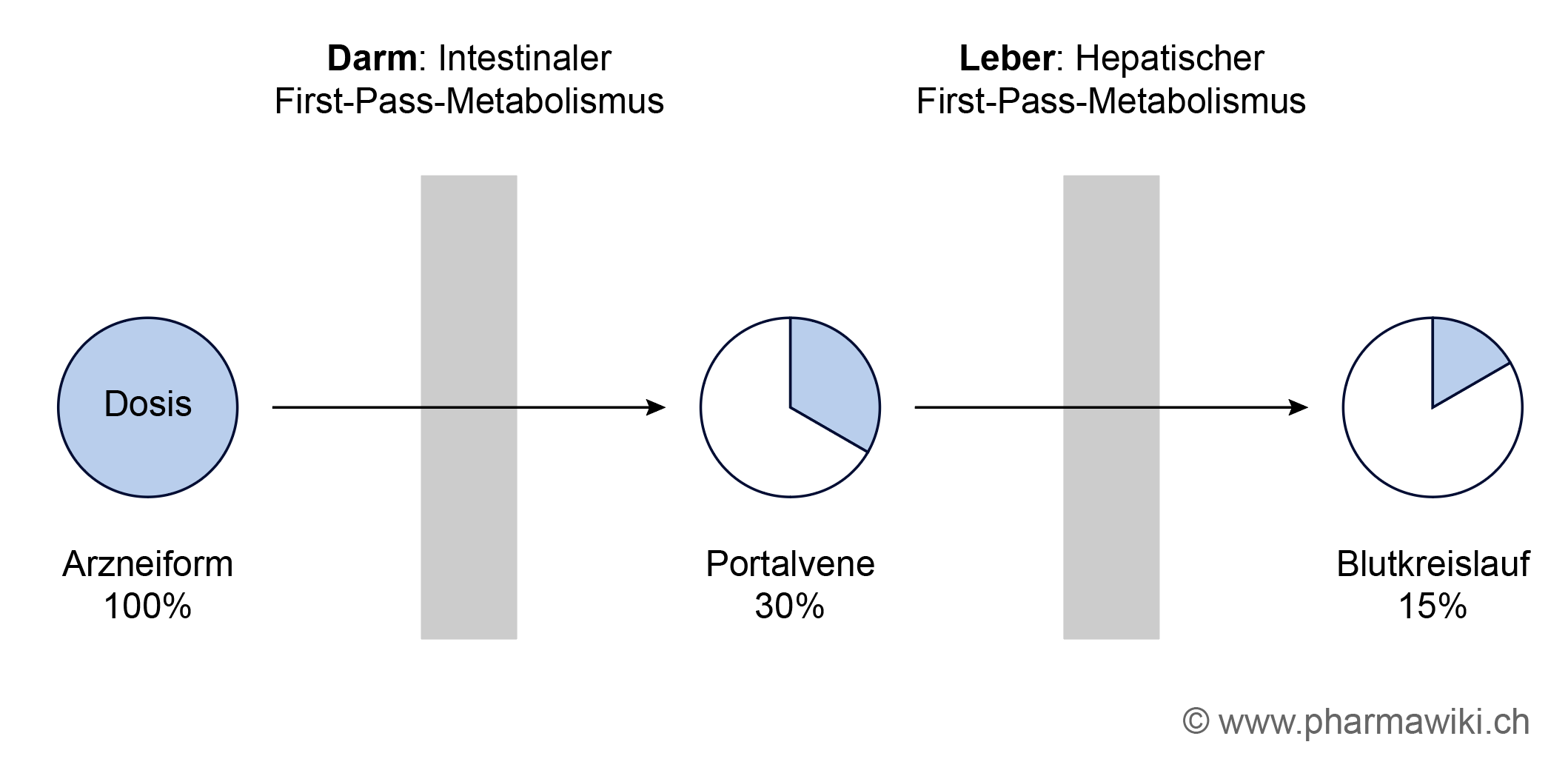 pharmawiki-first-pass-metabolismus